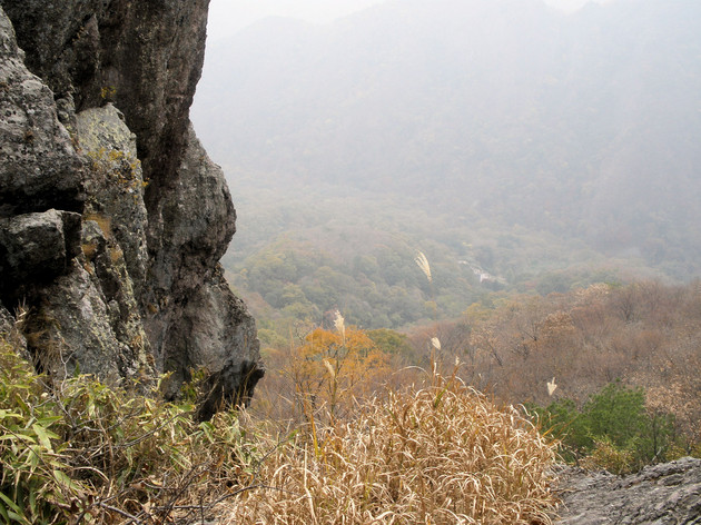 서로.화 이미지