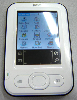 Palm