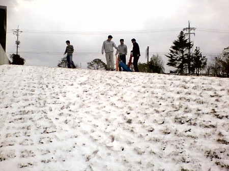 sleds