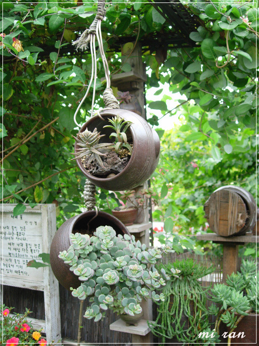 사과정원 이미지