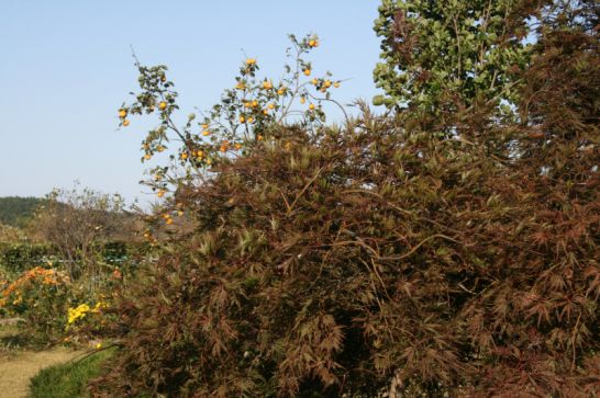 601ab3-40801.jpg