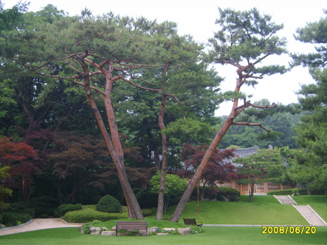청화대 이미지