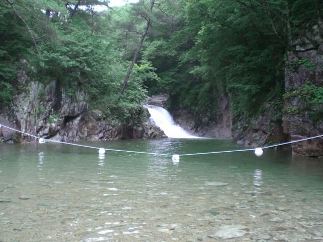 0cdcd0-24751-f.jpg