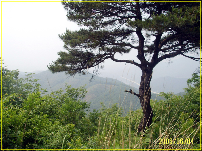 지나온 능선