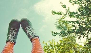 (자)승*수 이미지
