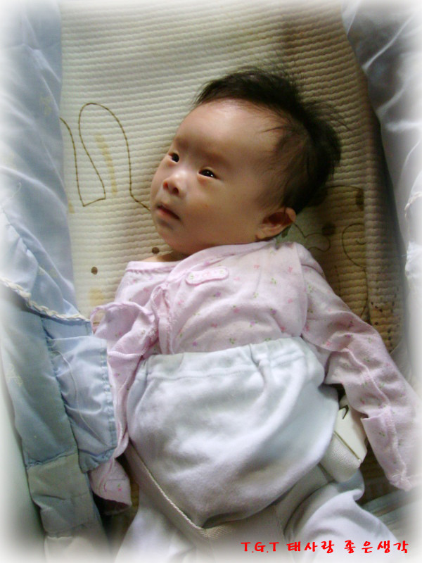8deb1d-8111-f.jpg"